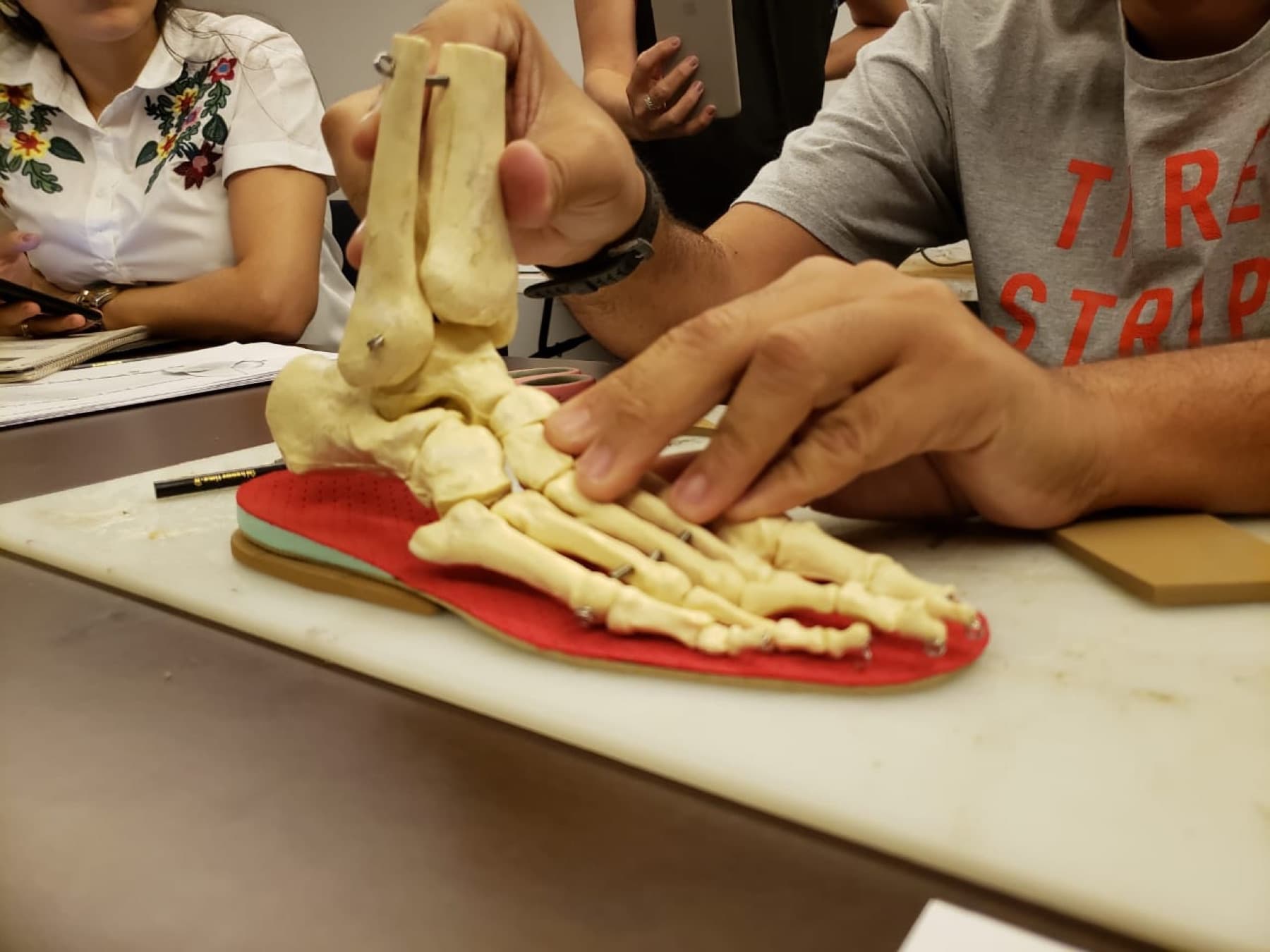 Estudo do pé com modelo anatômico posicionado sobre uma palmilha